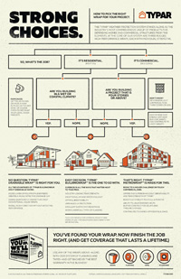 Download Strong Choices-Infographic